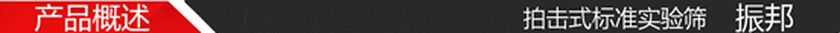 ZBP-200拍击式标准实验筛19