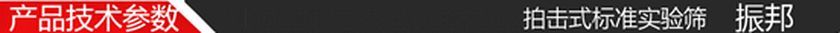 ZBP-200拍击式标准实验筛573
