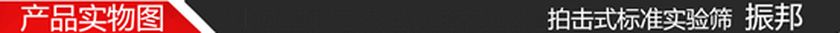 ZBP-200拍击式标准实验筛690